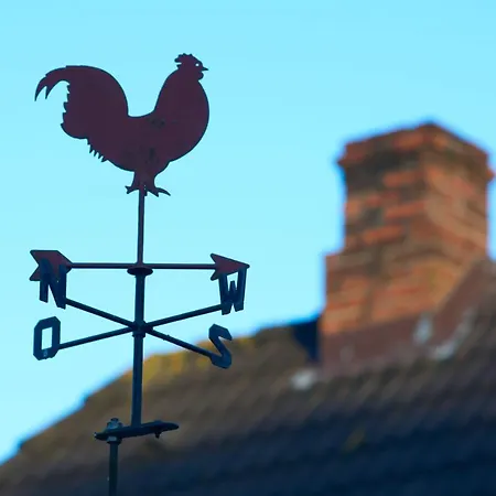 Gemuetliches In Semesterbostad